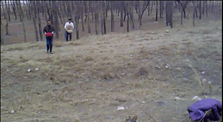 2.gif