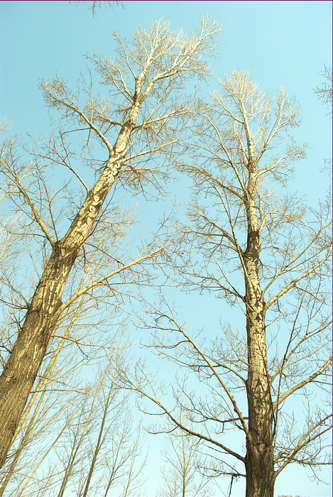 DSC_5430.jpg
