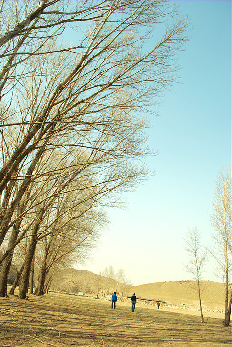 DSC_5432.jpg
