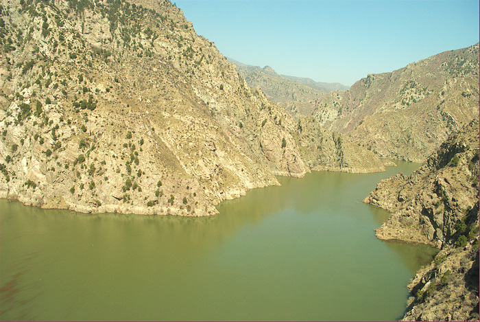 DSC_5511.jpg