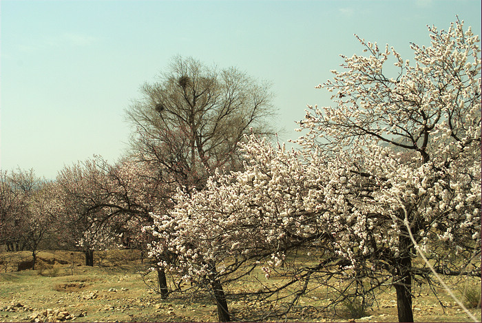 DSC_5528.jpg