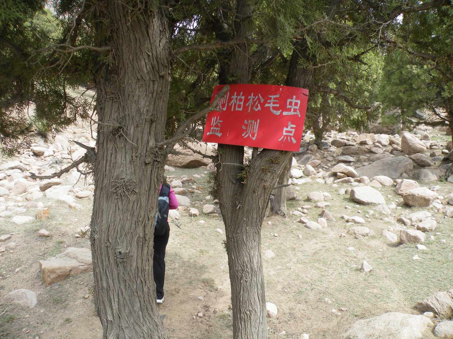 西沟 015.jpg