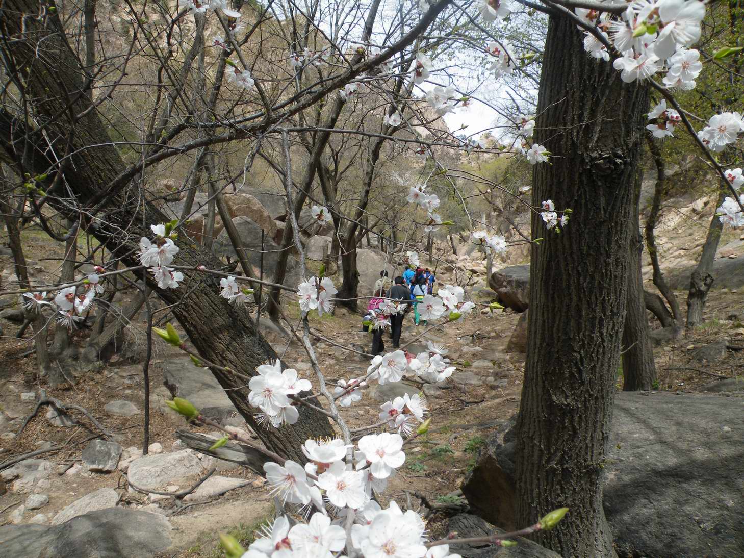 西沟 065.jpg