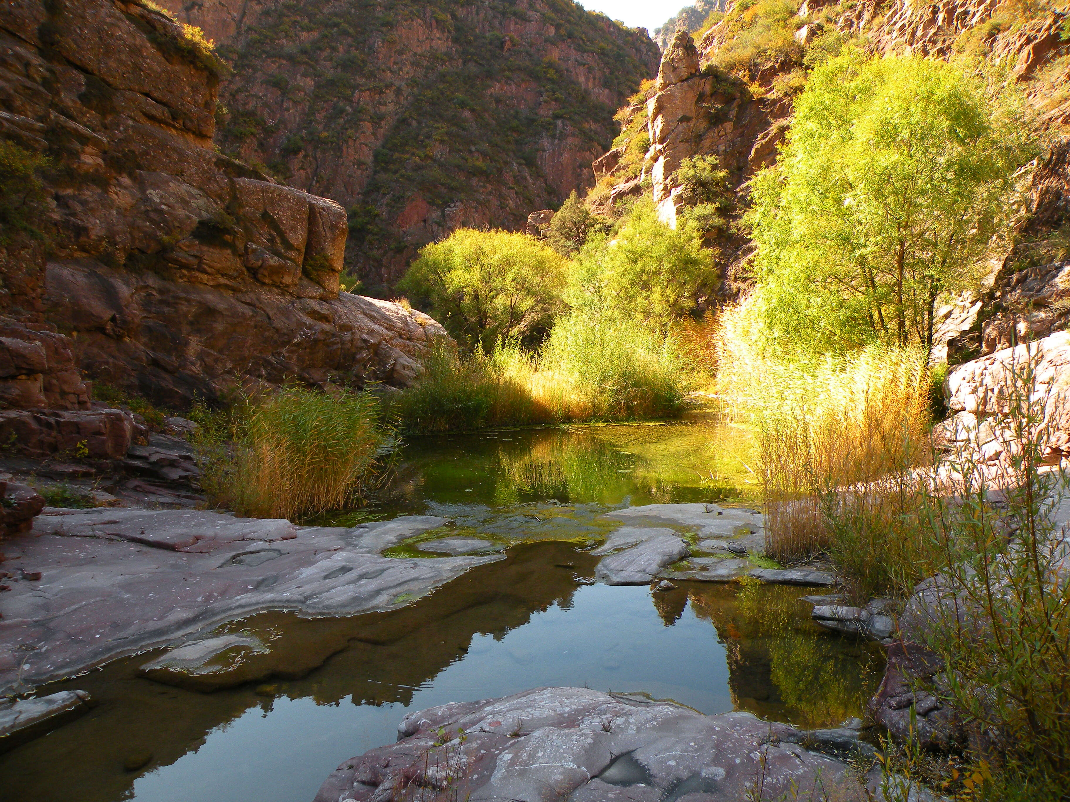 DSCN5706.jpg