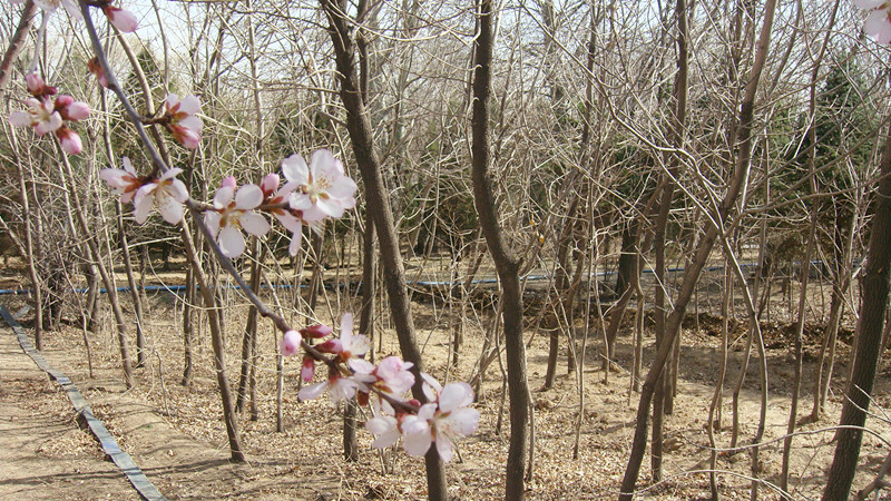 DSC05084_副本.jpg