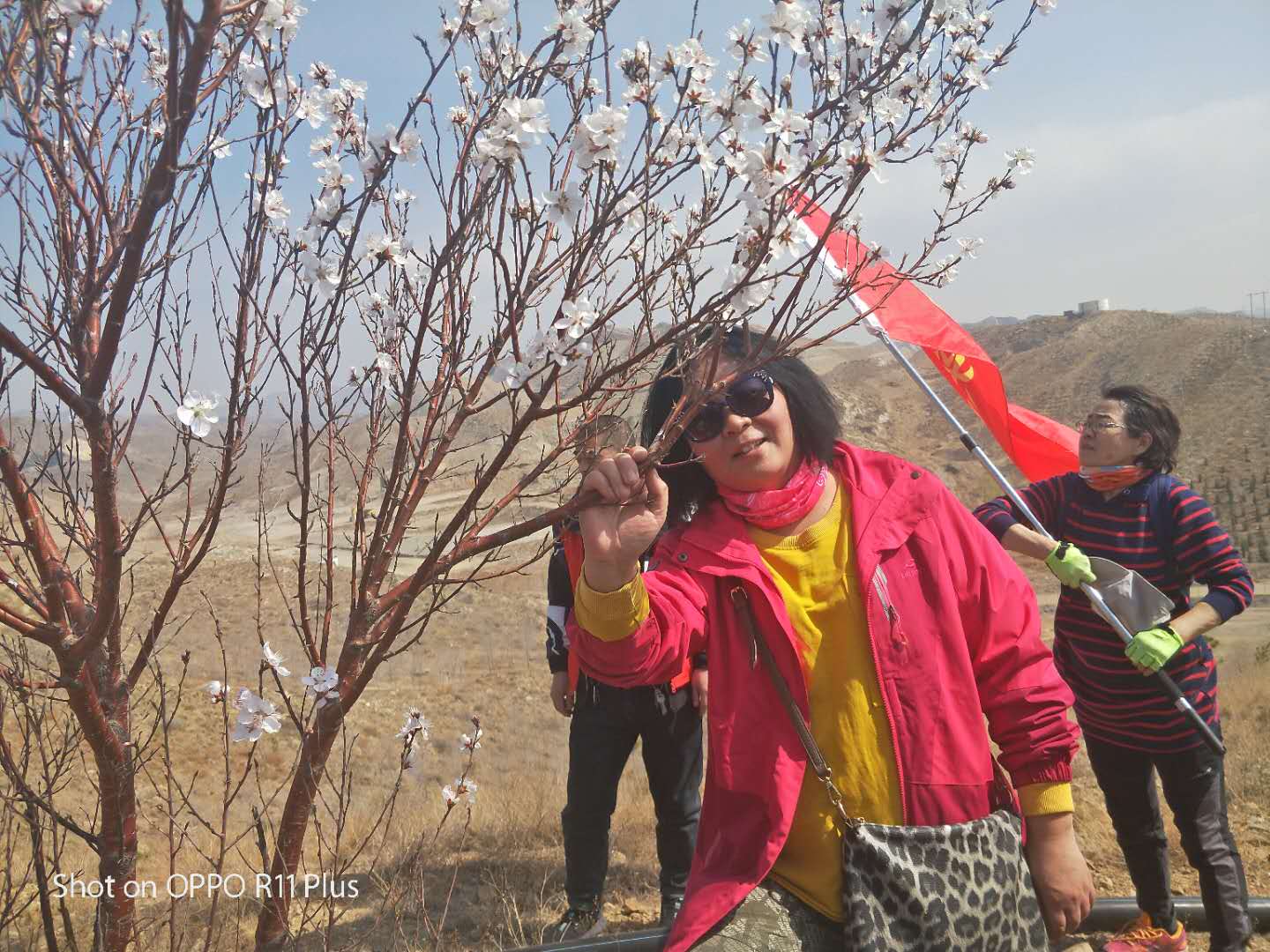 微信图片_202004062330255.jpg
