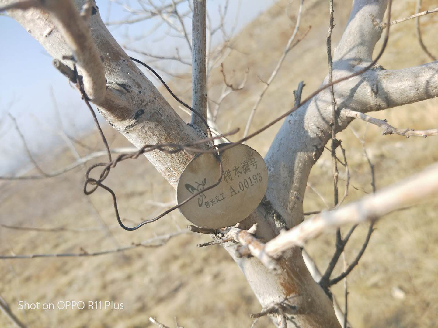 微信图片_202004062335417.jpg