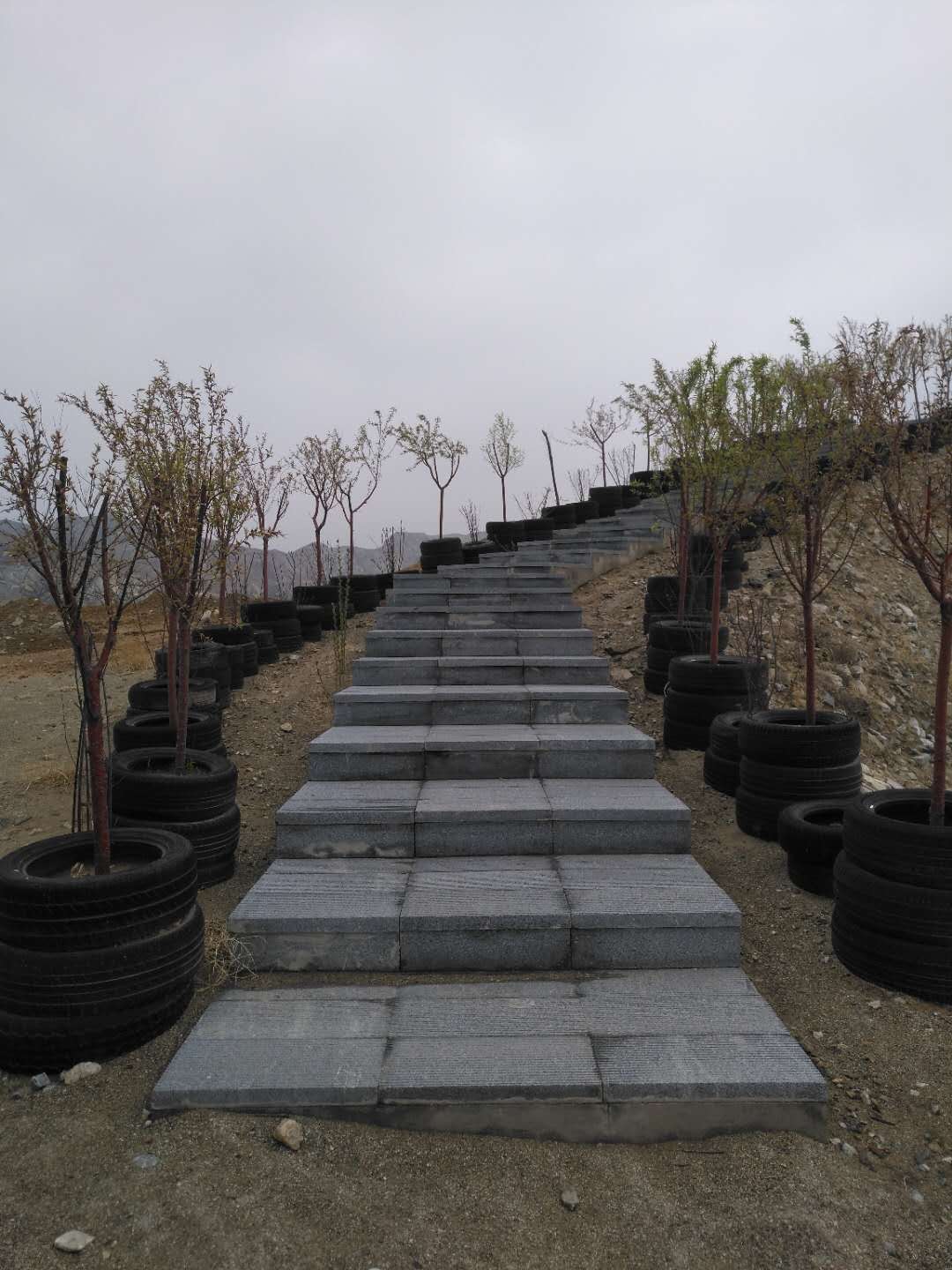 微信图片_202004202257293.jpg