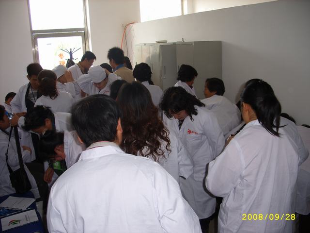 STP82884.JPG