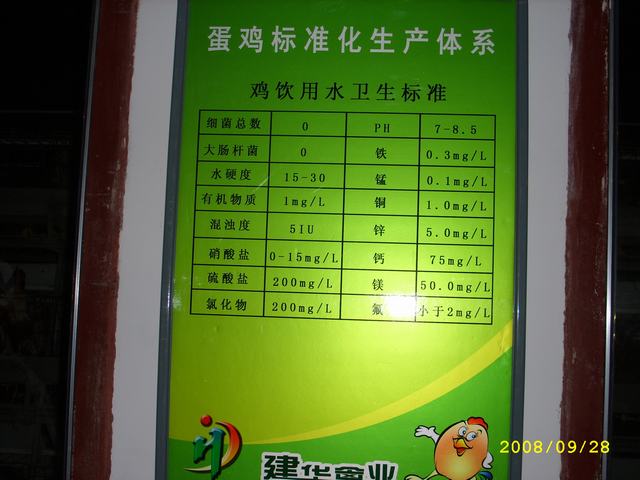 STP82890.JPG