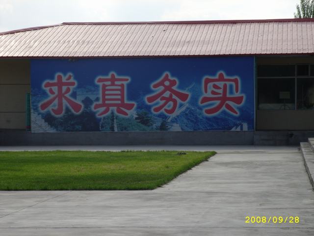 STP82882.JPG
