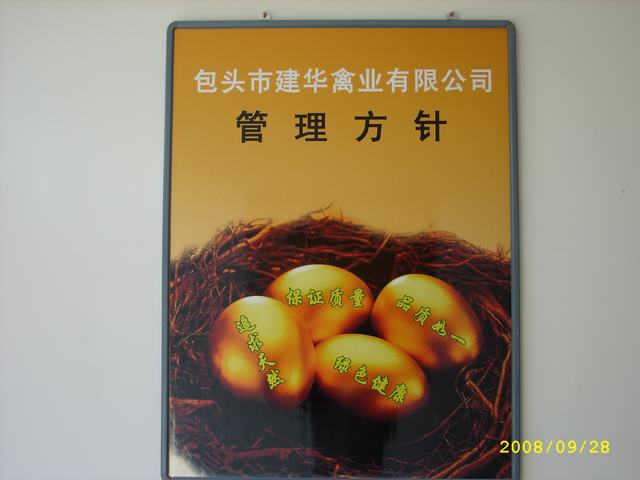 STP82887.JPG