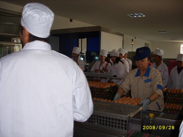 STP82893.JPG