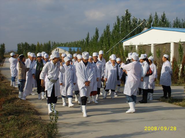 STP82892.JPG
