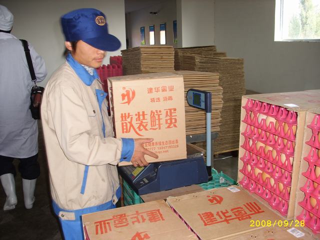 STP82895.JPG