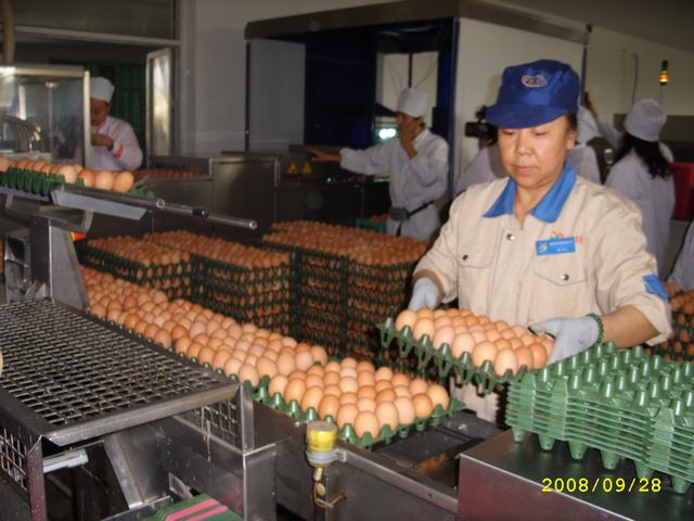 STP82894.JPG