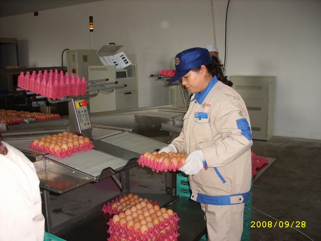 STP82896.JPG