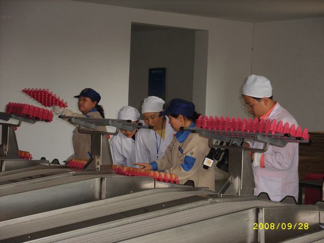 STP82898.JPG