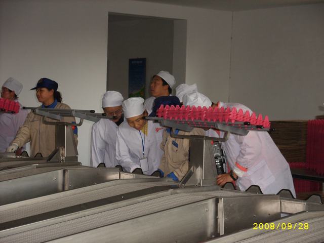 STP82897.JPG