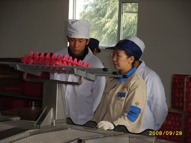 STP82899.JPG
