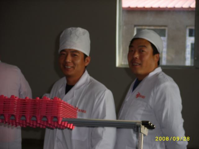 STP82900.JPG