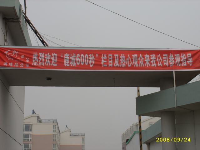 STP82829.JPG
