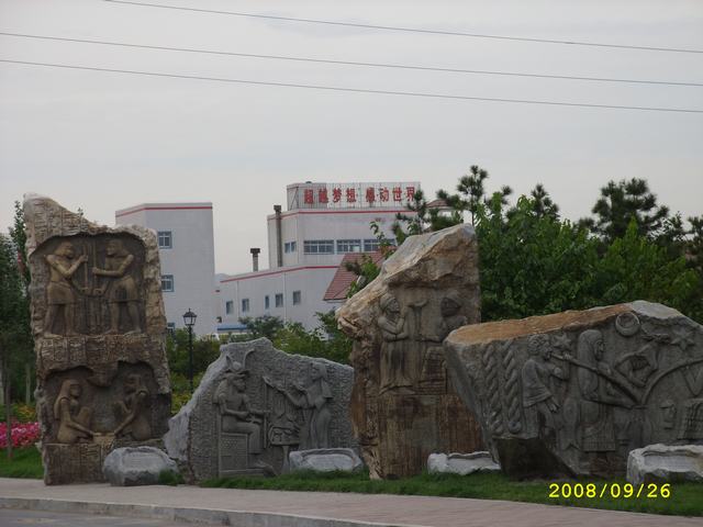 STP82865.JPG
