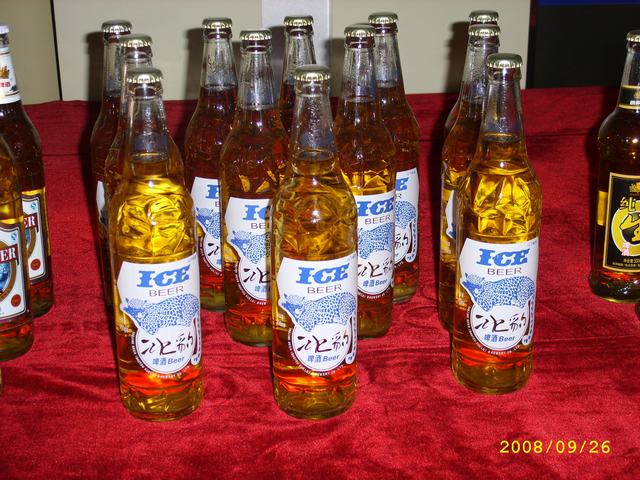 STP82875.JPG
