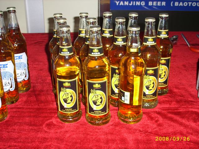 STP82873.JPG