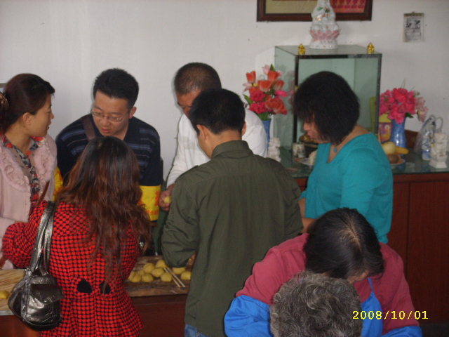 STP82975.JPG