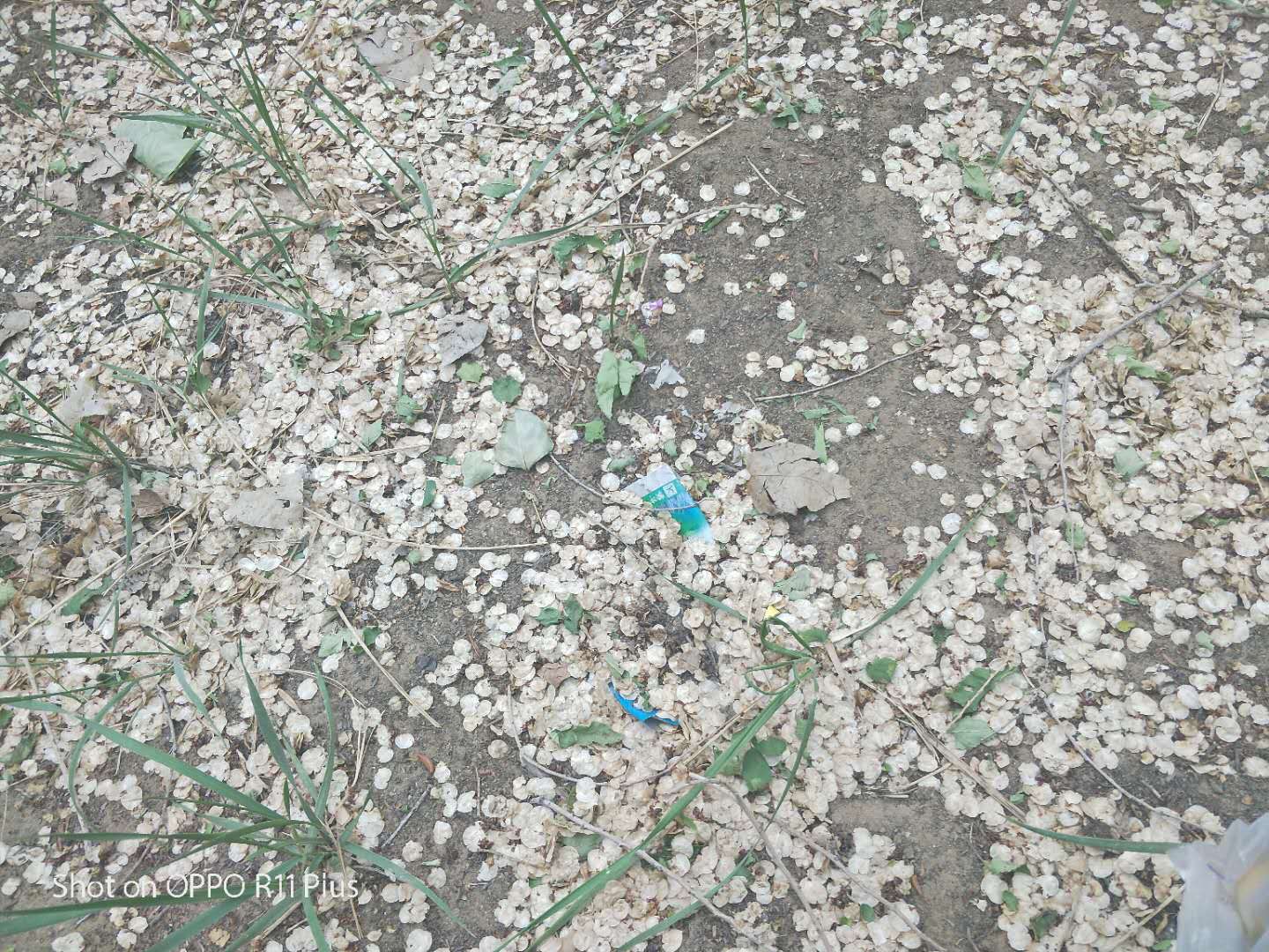 微信图片_202005252100412.jpg