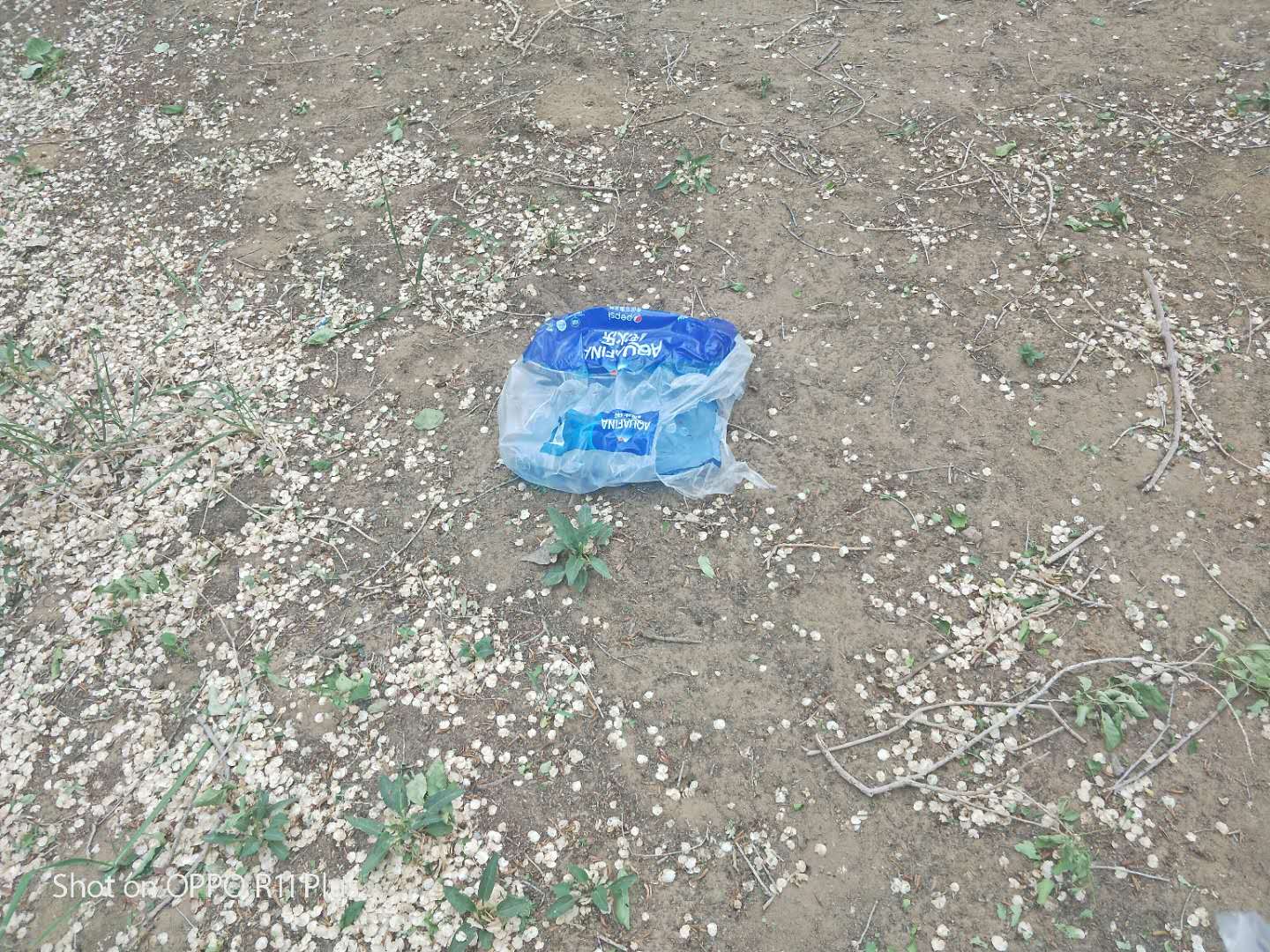 微信图片_202005252100415.jpg