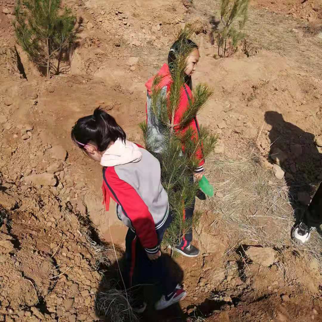 微信图片_20210421102022.jpg