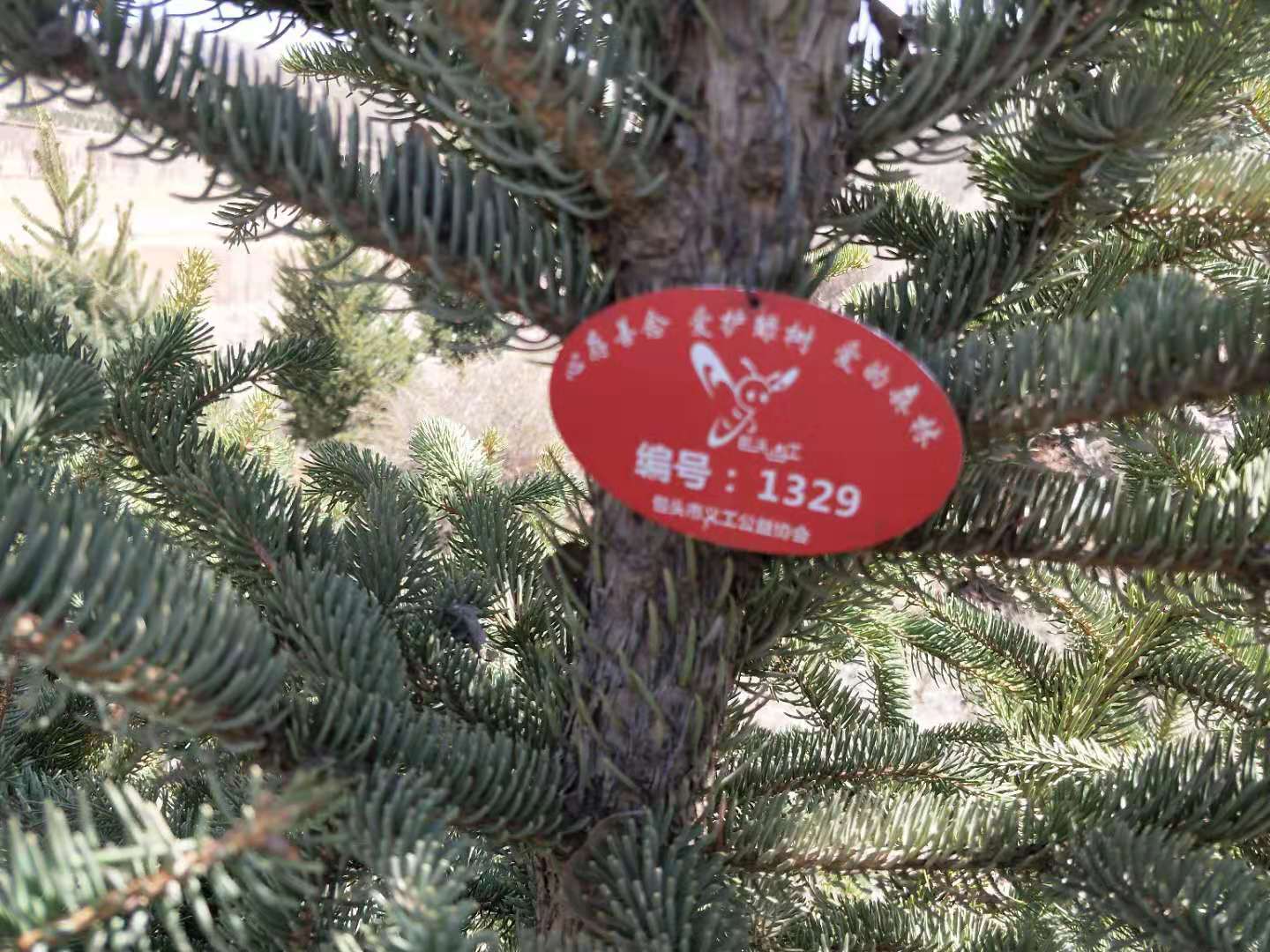 微信图片_2021042111222312.jpg