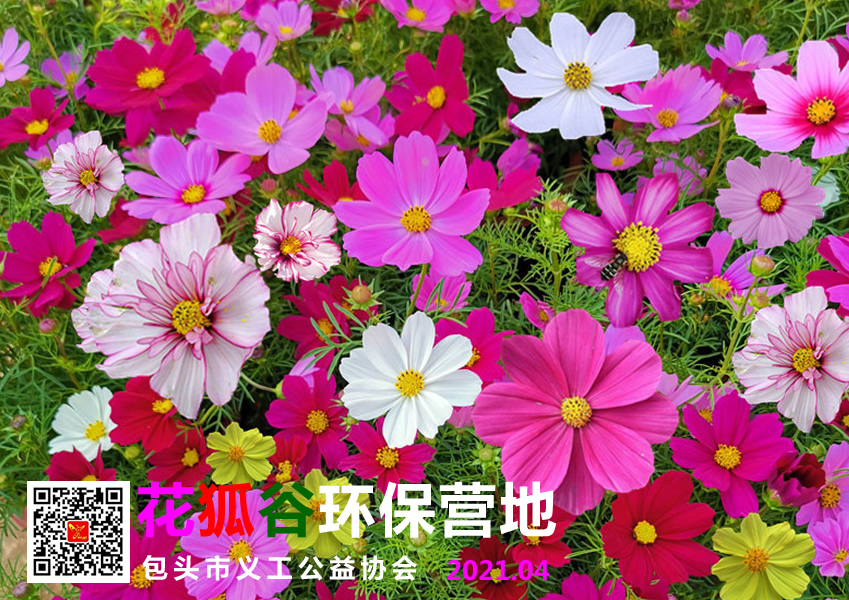 花狐谷3334.jpg