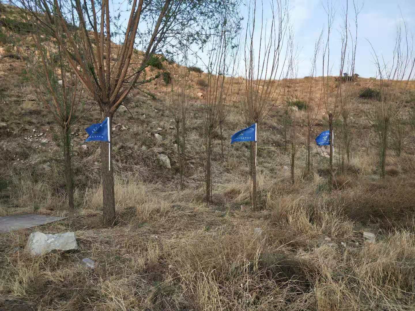 微信图片_202104261026233.jpg