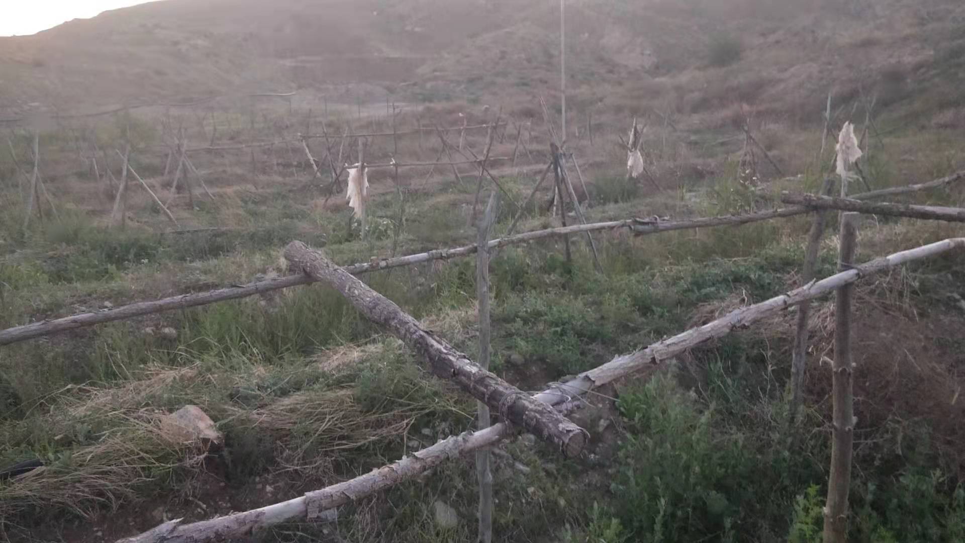 微信图片_202106182216132.jpg