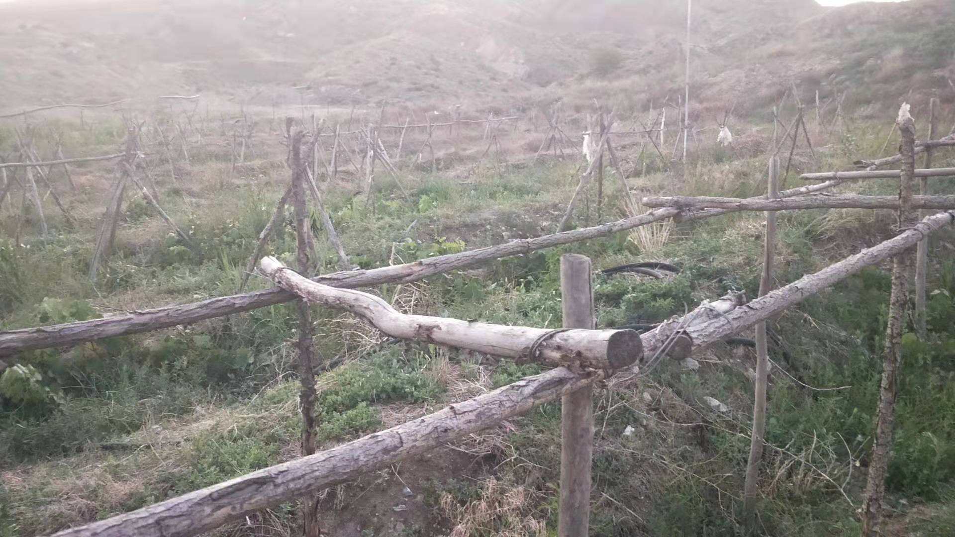 微信图片_202106182216133.jpg