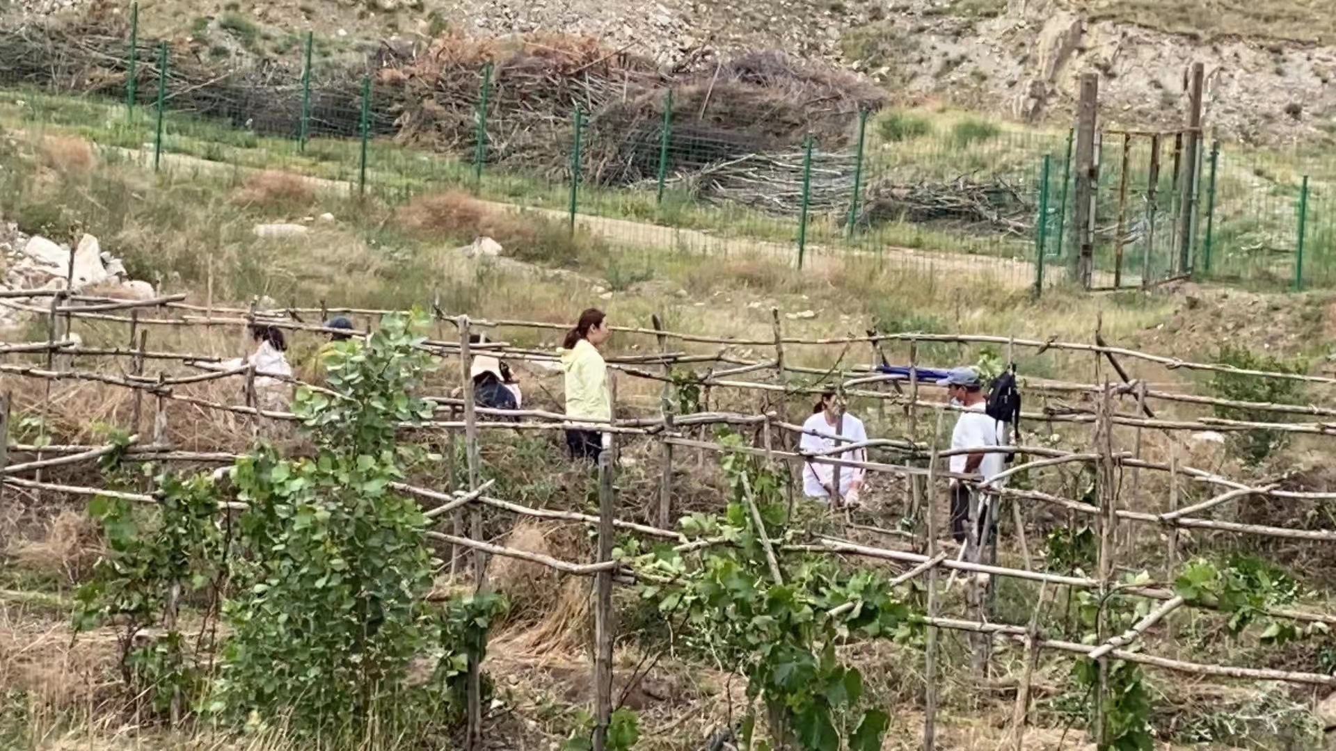 微信图片_202107042044121.jpg