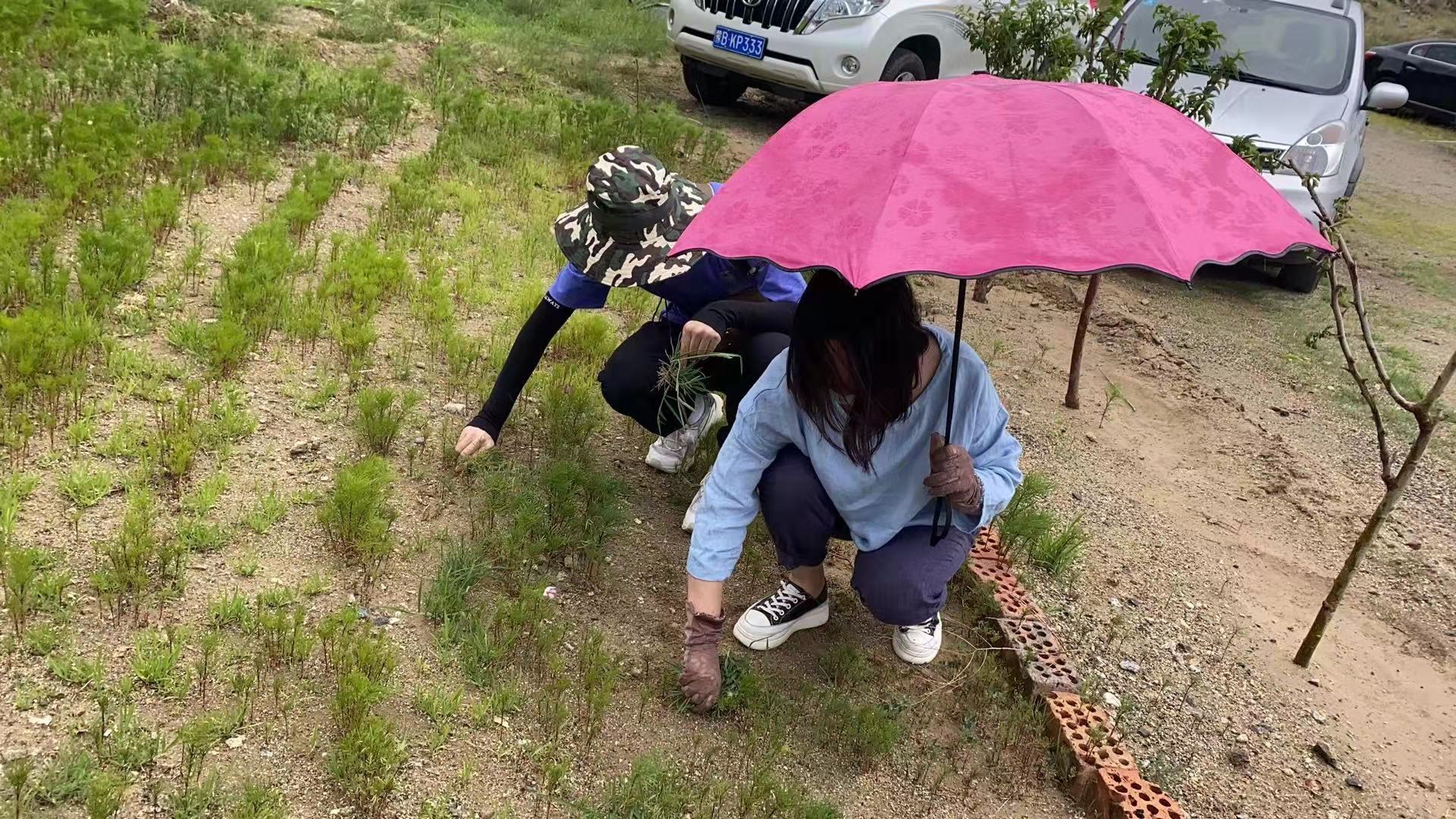 微信图片_2021070420441226.jpg