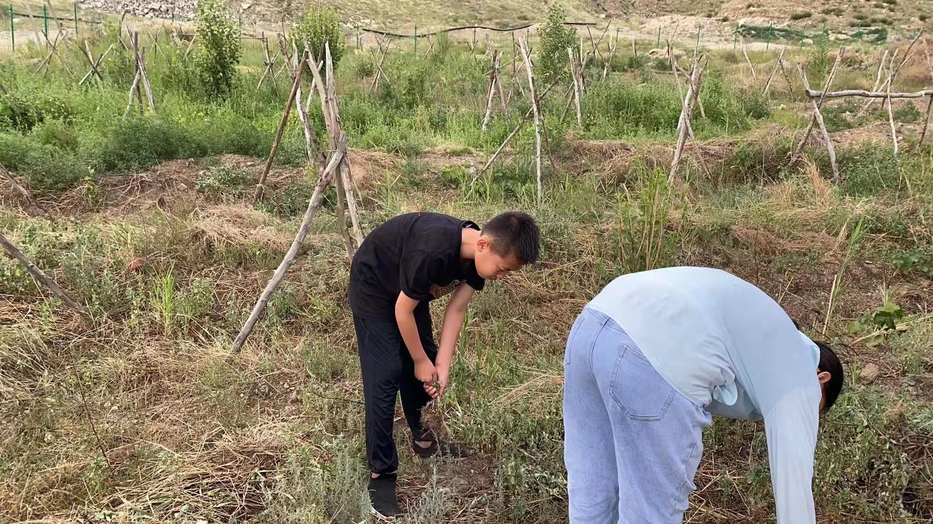 微信图片_2021070420441248.jpg