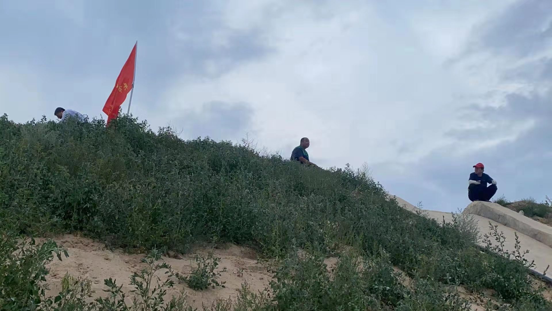 微信图片_202107112301374.jpg