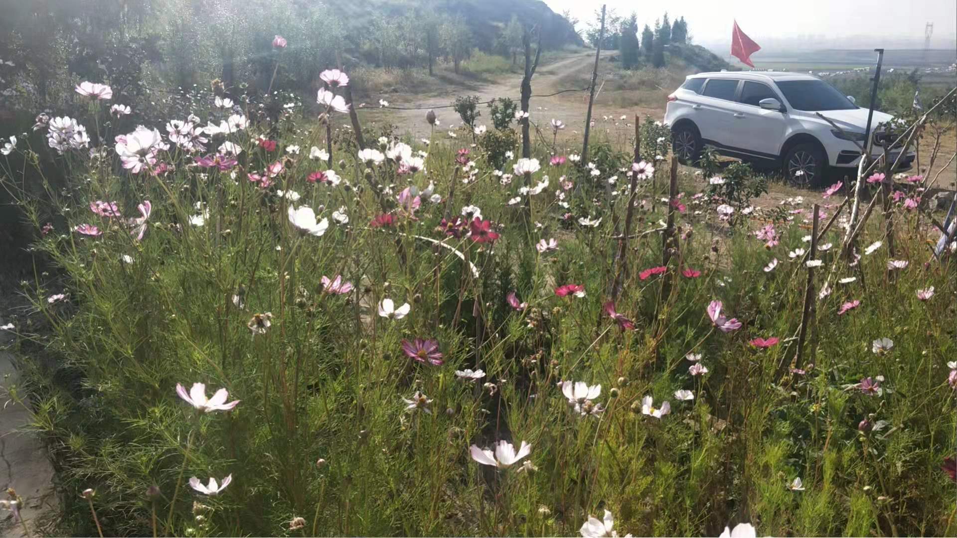 微信图片_20210907220044.jpg