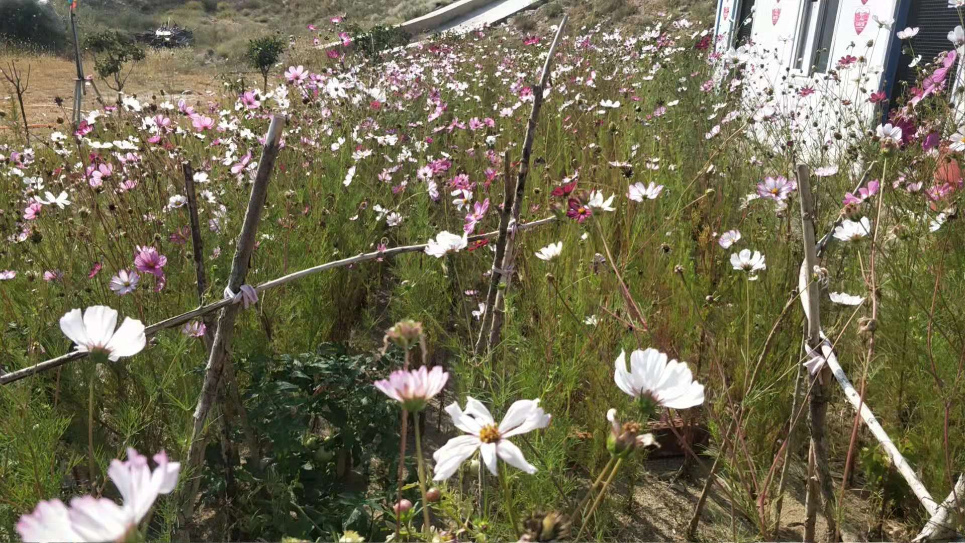 微信图片_202109172252251.jpg