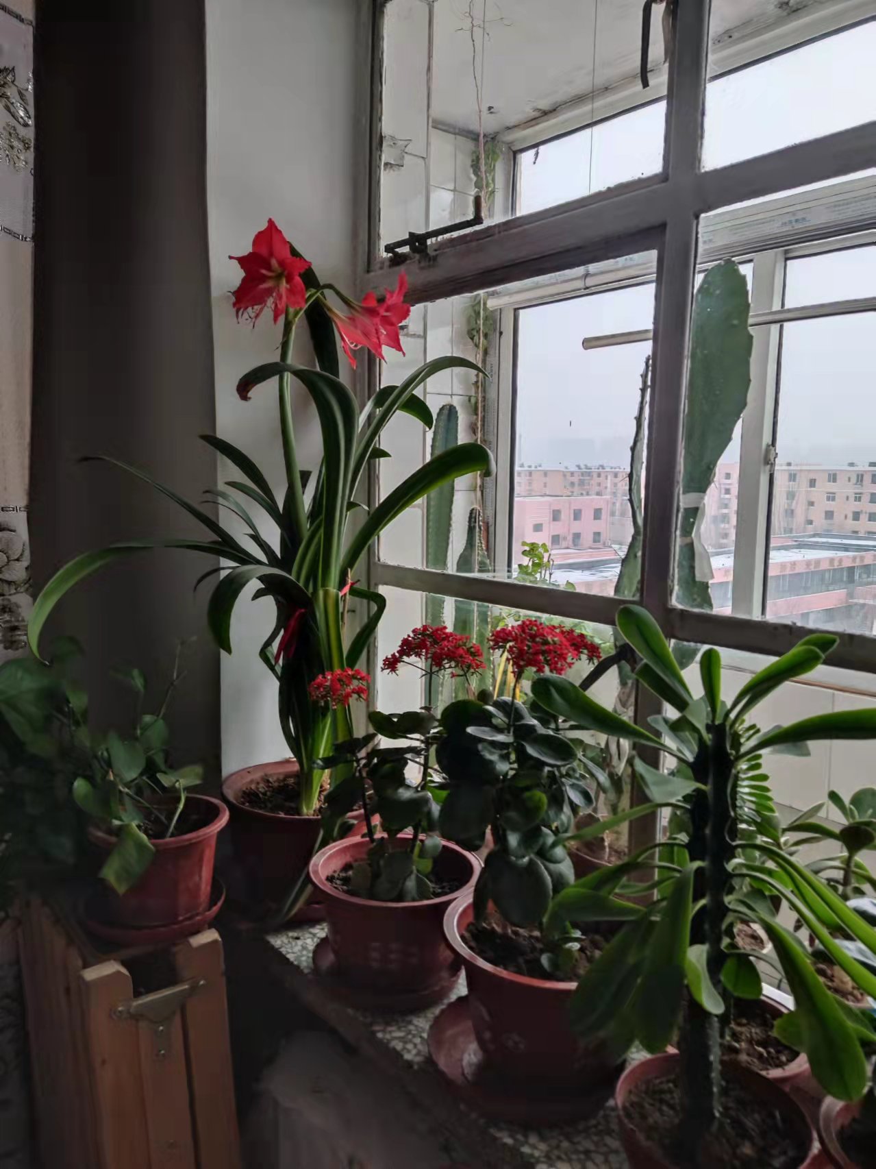 微信图片_20220126230120.jpg
