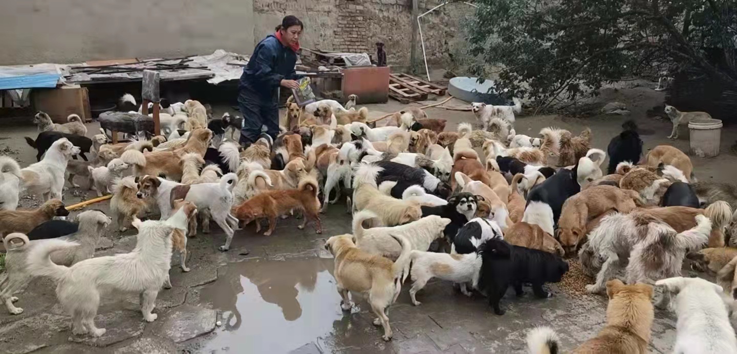 微信图片_202209141013318.jpg