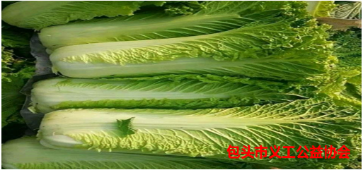 微信图片_202210151351591.png
